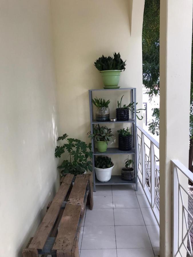 Vila Nova Praiadise Hostel מראה חיצוני תמונה